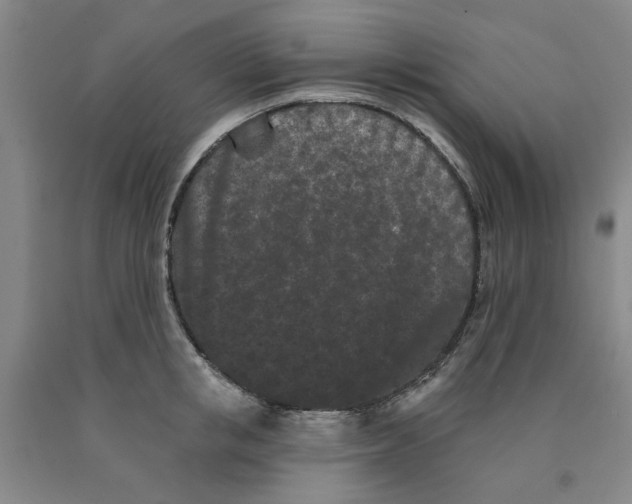 X0000089910853200707271713