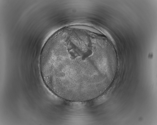 X0000089910855200707271713