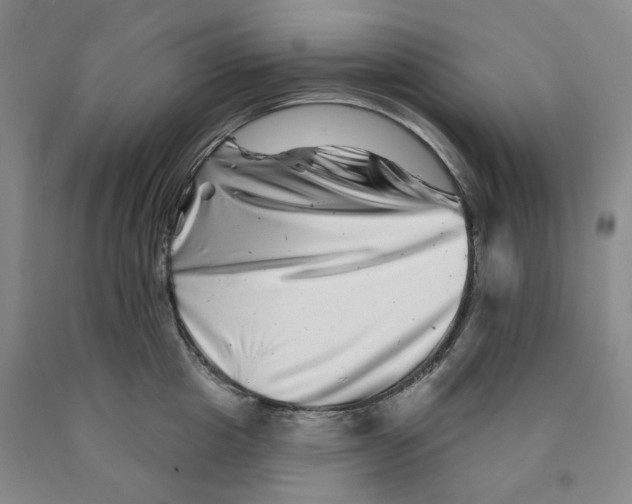 X0000089910857200707271713