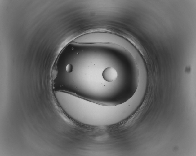 X0000089910858200707271713