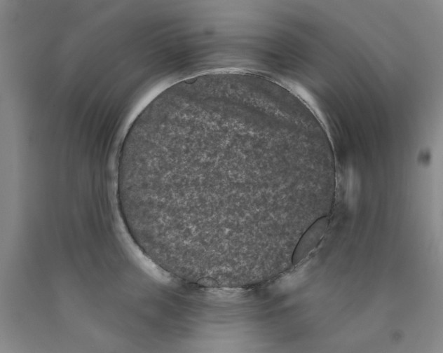 X0000089910859200707271713