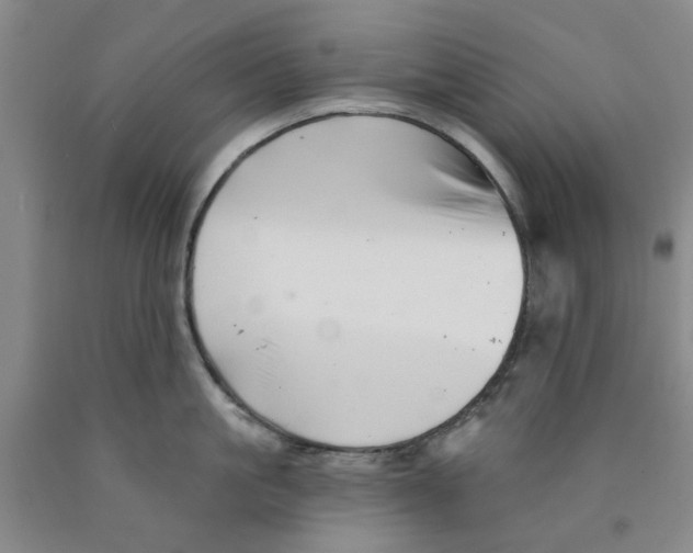 X0000089910861200707271713