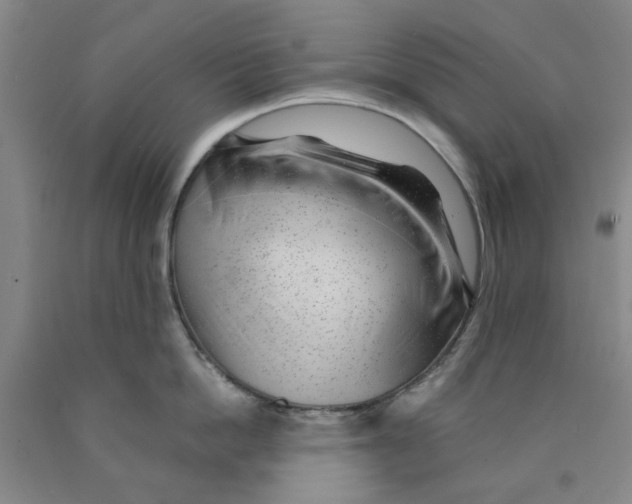 X0000089910862200707271713