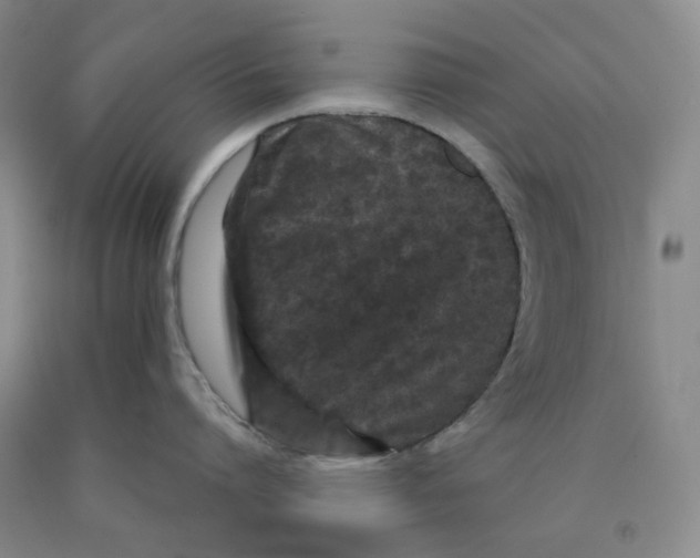 X0000089910864200707271713