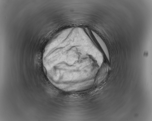 X0000089910867200707271712