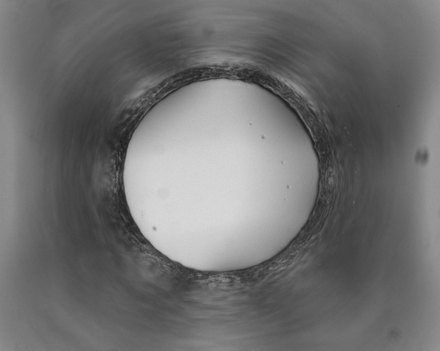 X0000089910869200707271712