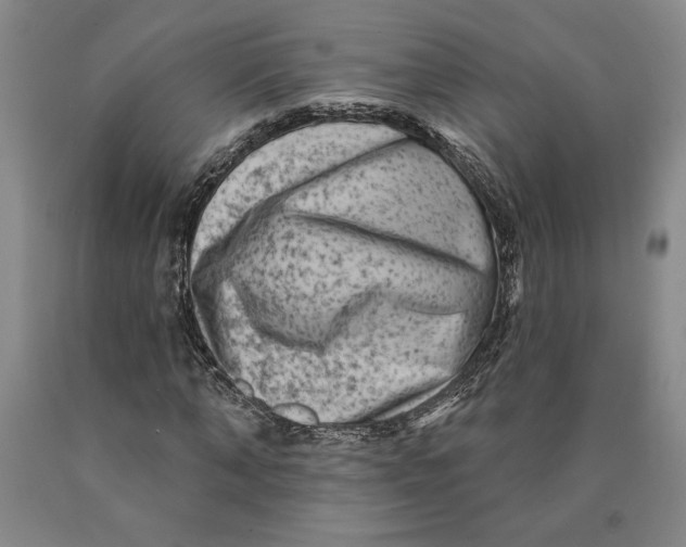 X0000089910870200707271712