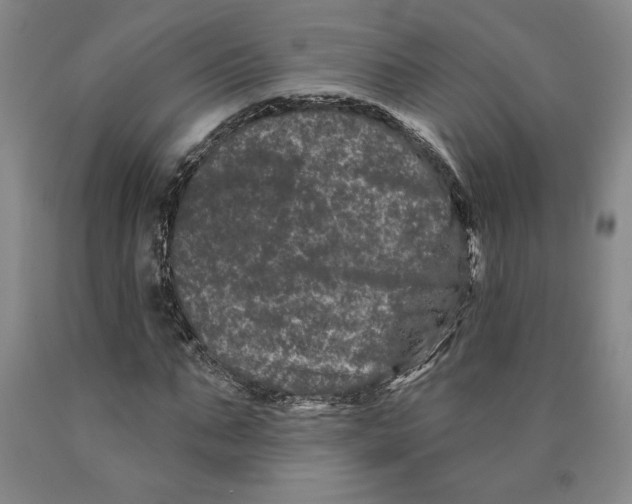 X0000089910871200707271712