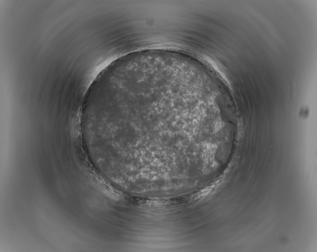 X0000089910875200707271712