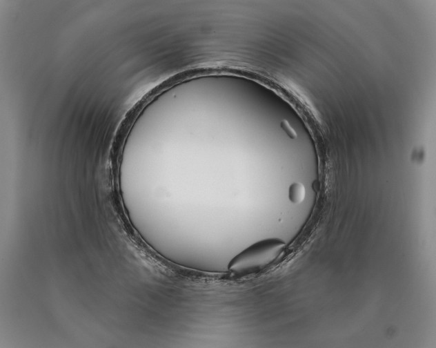 X0000089910876200707271712