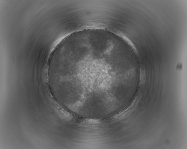 X0000089910878200707271712