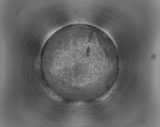 X0000089910879200707271712