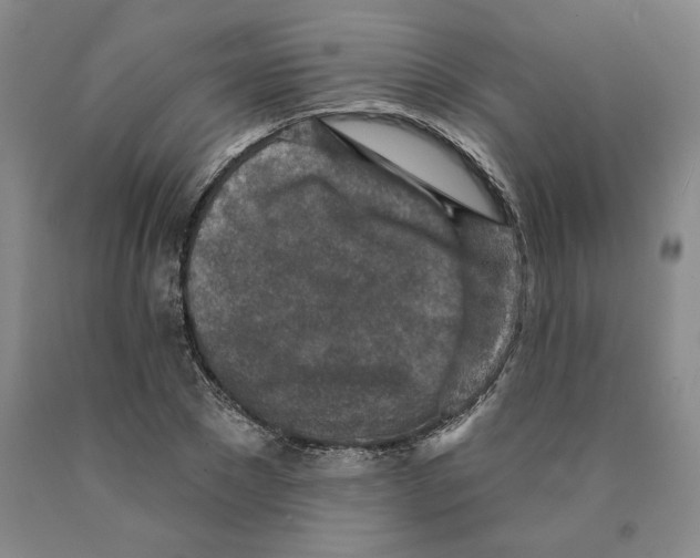 X0000089910881200707271712