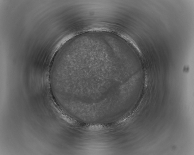 X0000089910882200707271712