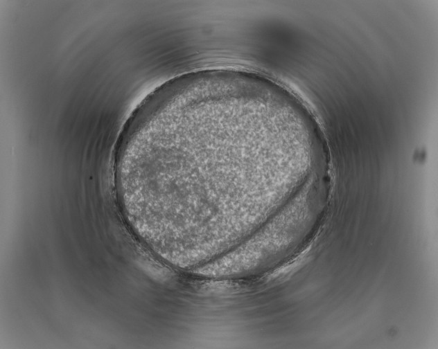 X0000089910883200707271712