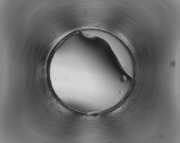 X0000089910884200707271712