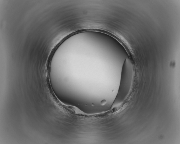 X0000089910885200707271712