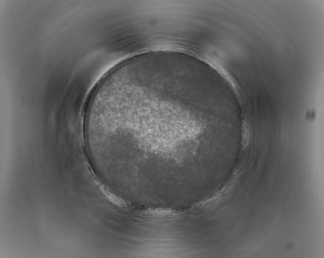 X0000089910886200707271712