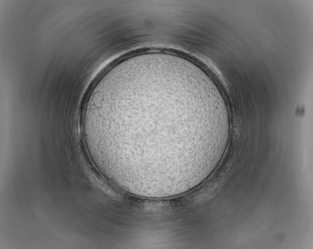 X0000089910887200707271712