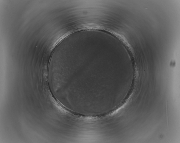 X0000089910889200707271712