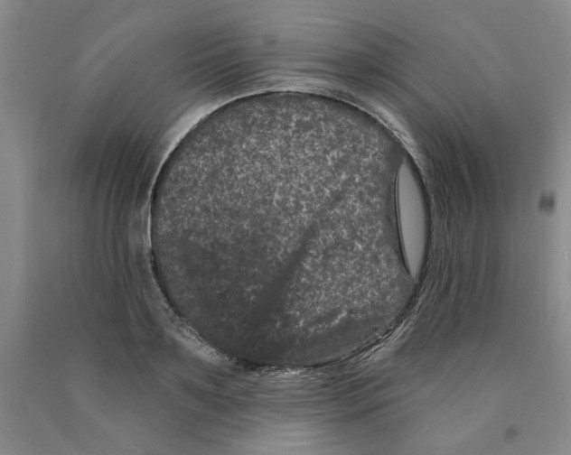 X0000089910891200707271712