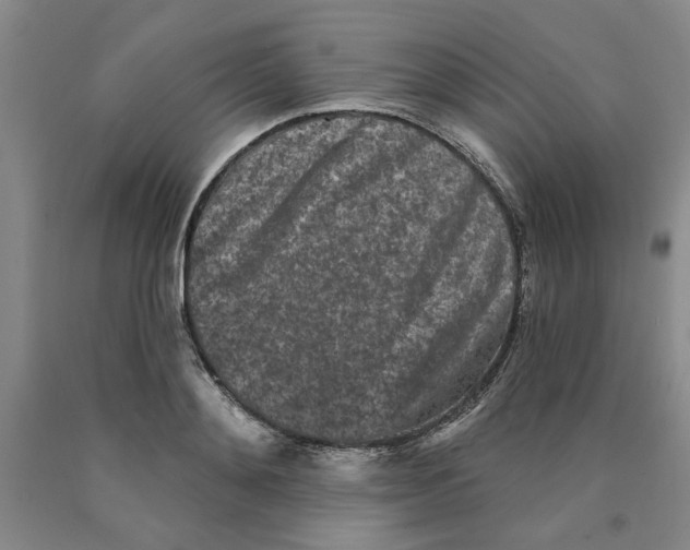 X0000089910892200707271712