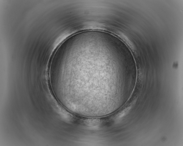 X0000089910893200707271712