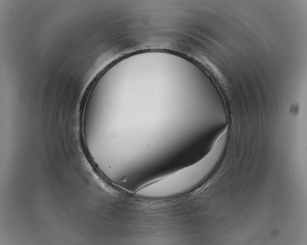 X0000089910894200707271712