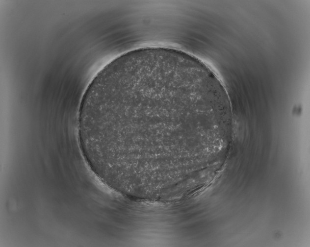 X0000089910895200707271712