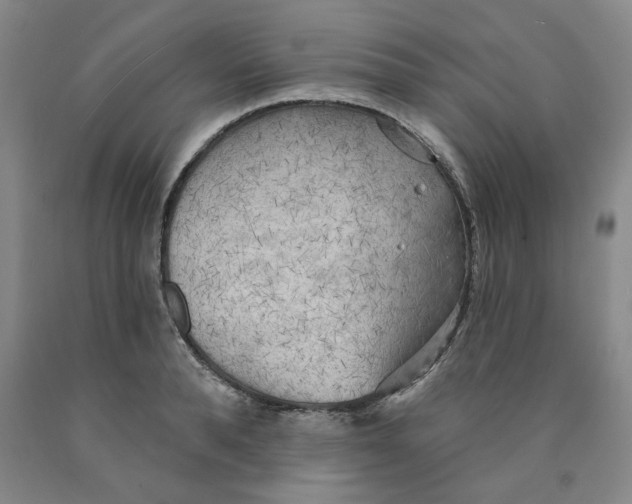 X0000089910896200707271712