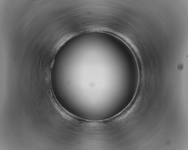 X0000089910897200707271712