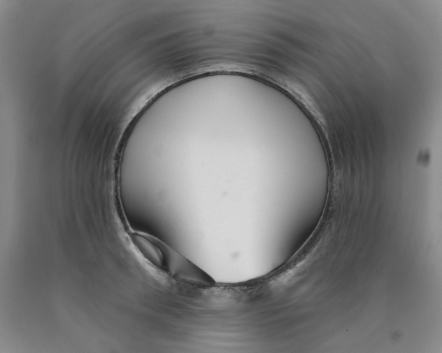 X0000089910898200707271712