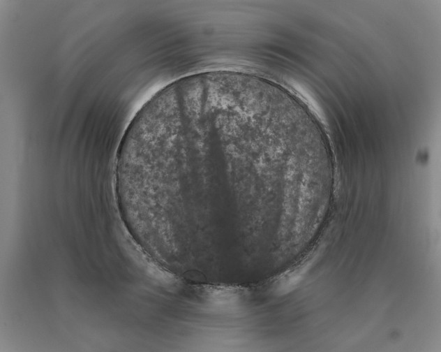 X0000089910899200707271712