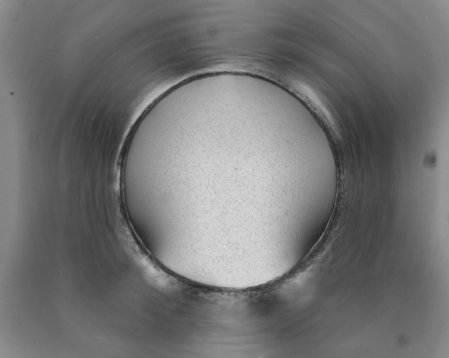 X0000089910900200707271712