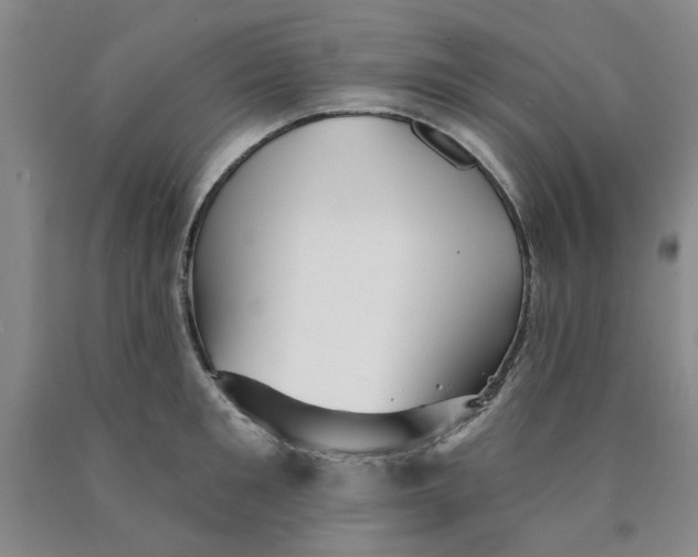 X0000089910901200707271712