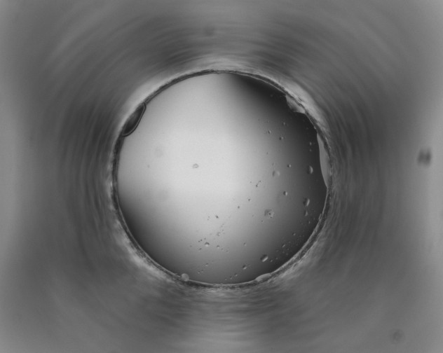 X0000089910904200707271712