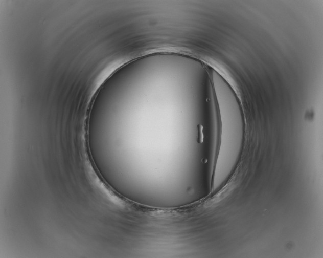 X0000089910906200707271712