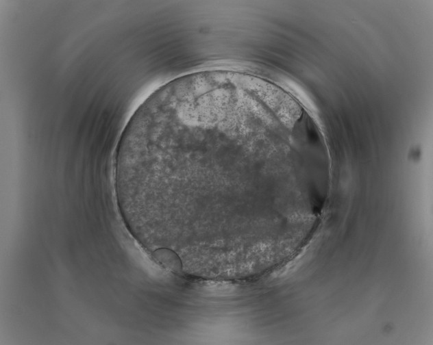 X0000089910907200707271712