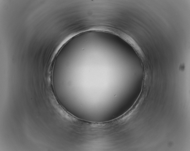 X0000089910908200707271712