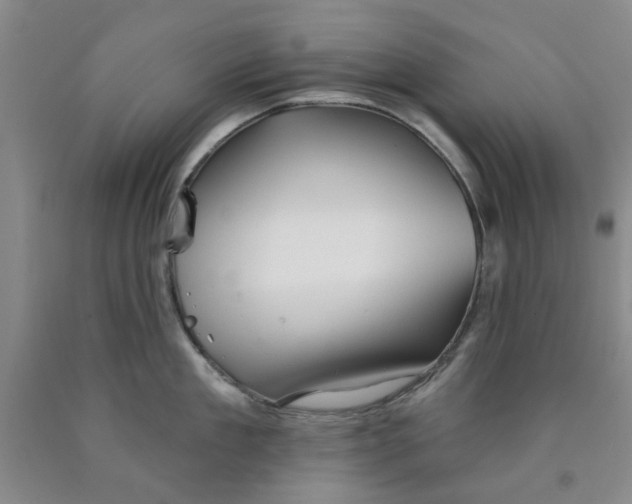 X0000089910909200707271712