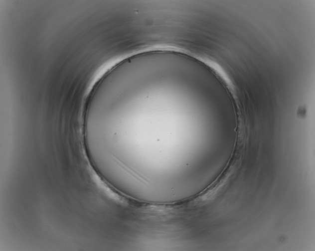 X0000089910910200707271712