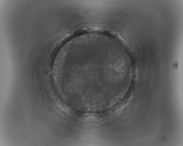 X0000089910913200707271711