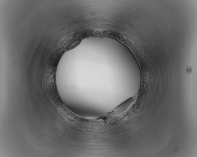 X0000089910914200707271711