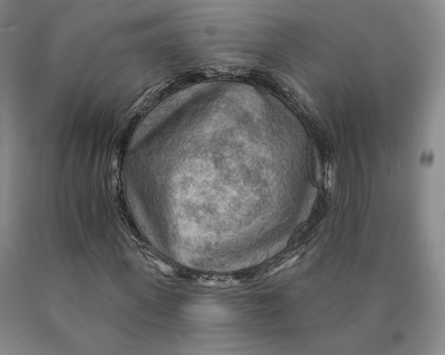 X0000089910915200707271711