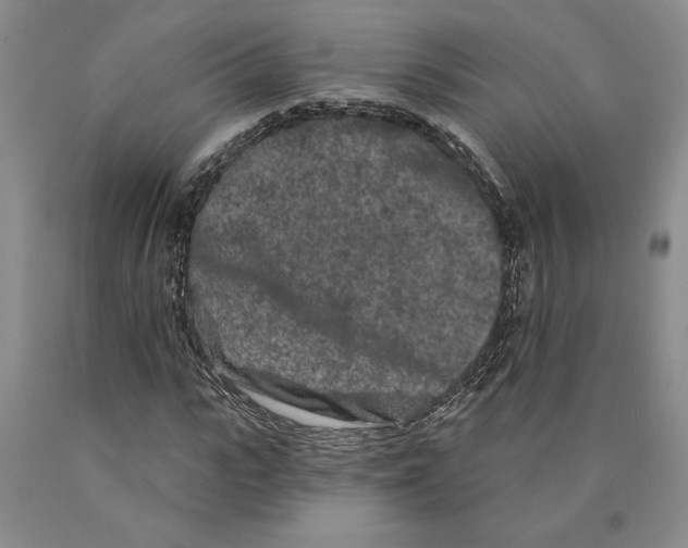 X0000089910919200707271711