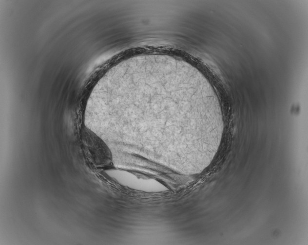 X0000089910920200707271711