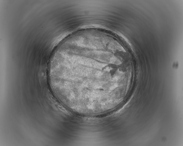 X0000089910921200707271711