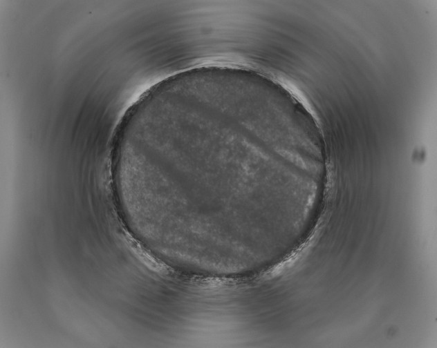 X0000089910923200707271711