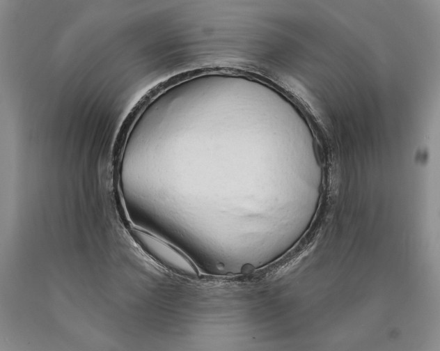 X0000089910924200707271711