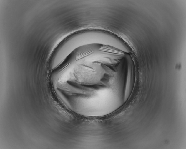 X0000089910926200707271711